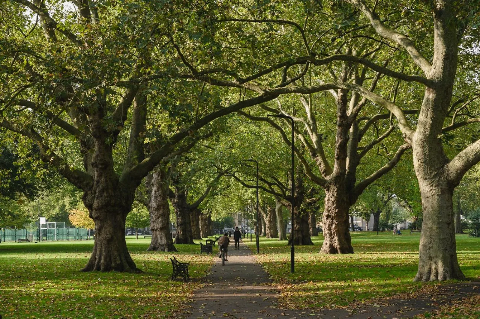 Lovely Apartment In Victoria Park Village London